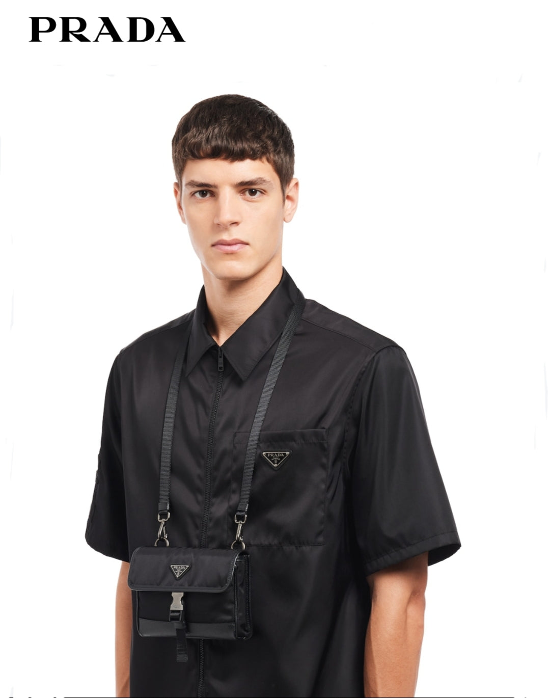 Alessio